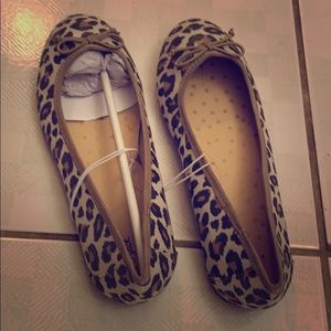 Cute cheetah shoes